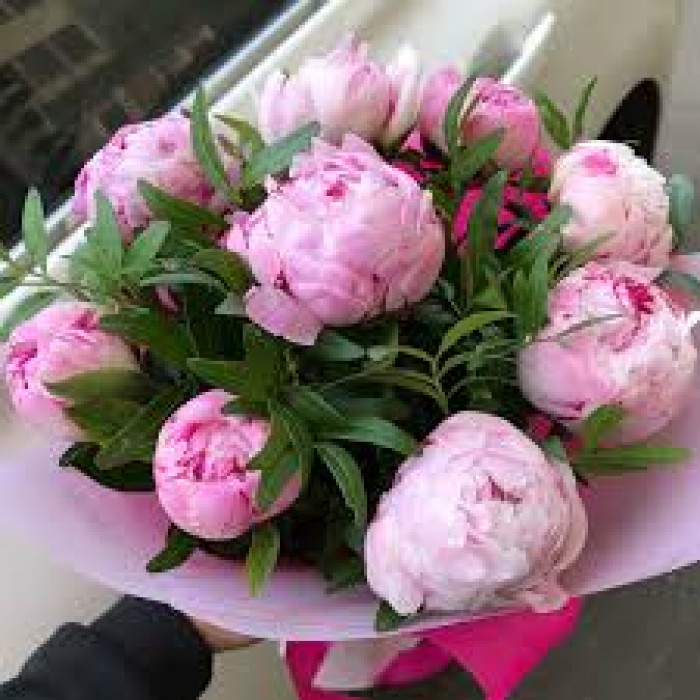 Пион древовидный в Туркестане