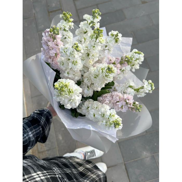 Маттиола в Туркестане