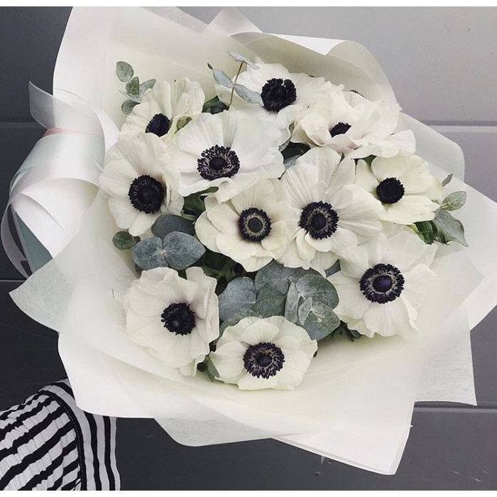 Анемоны в Туркестане