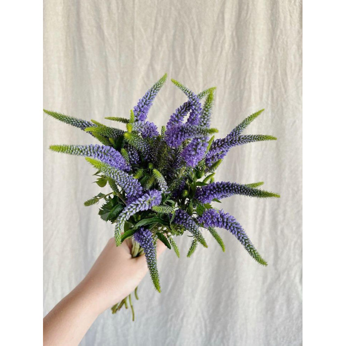 Вероника в Туркестане