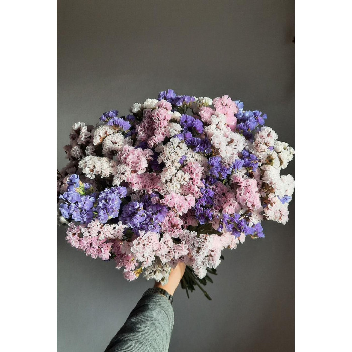 Статица (Лимониум) в Туркестане