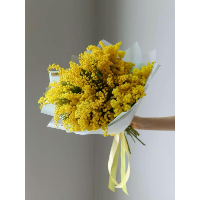 Мимоза в Туркестане