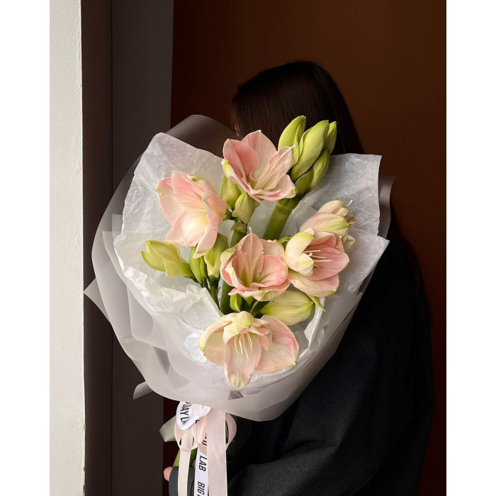 Амариллис в Туркестане