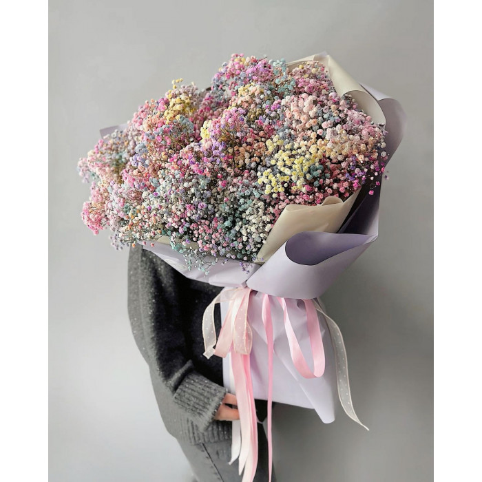 Гипсофила цветная в Туркестане