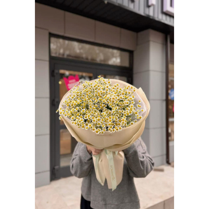 Танацетум в Туркестане