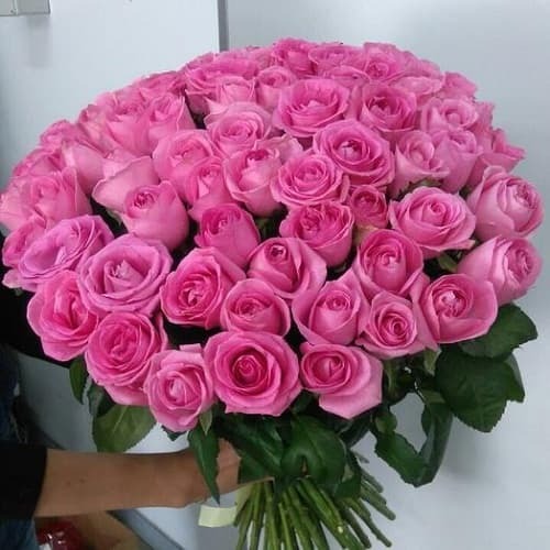 Купить на заказ Букет из 75 розовых роз с доставкой в Туркестане