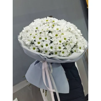 25 хризантем